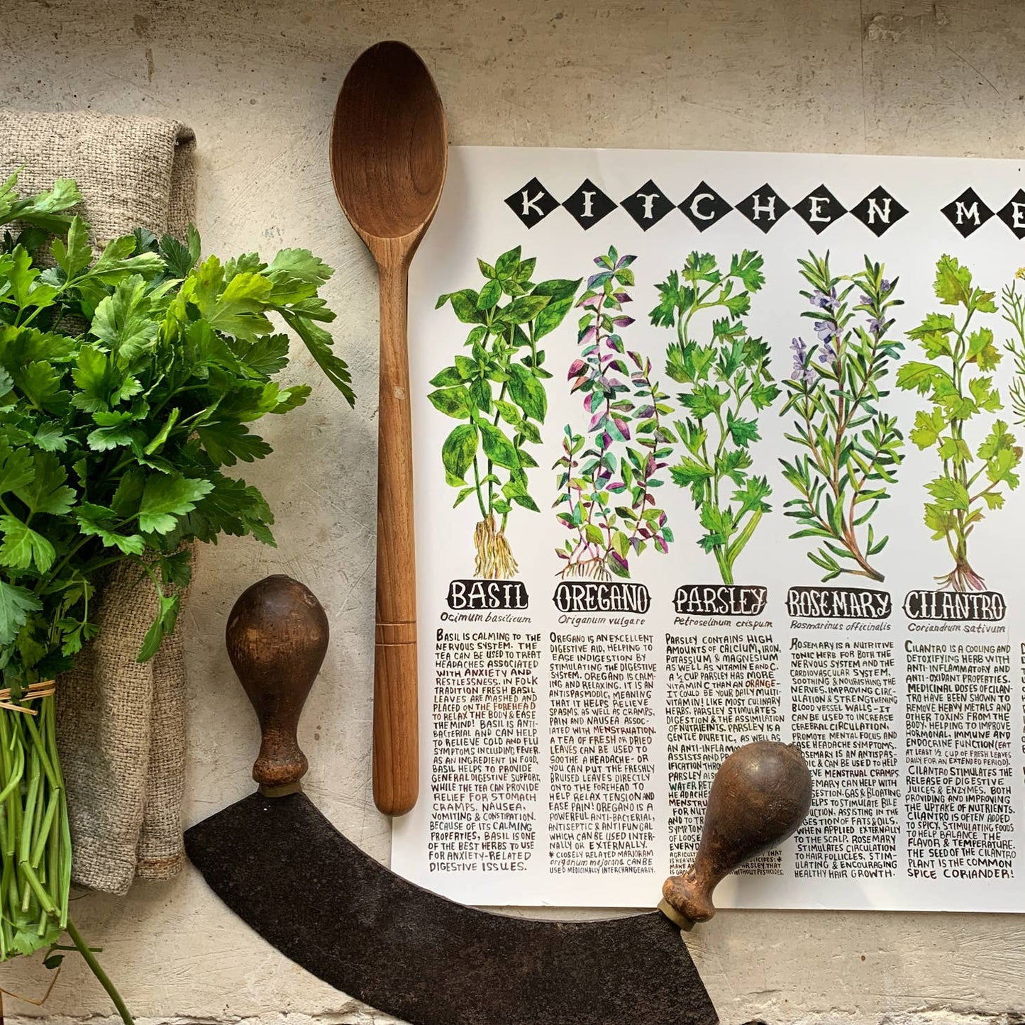 Herbal Posters
