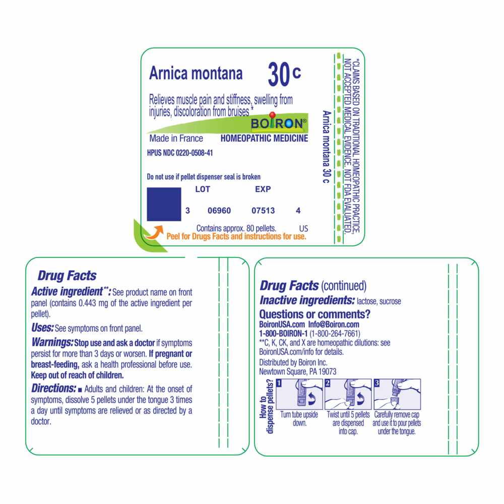 Arnica montana Homeopathics