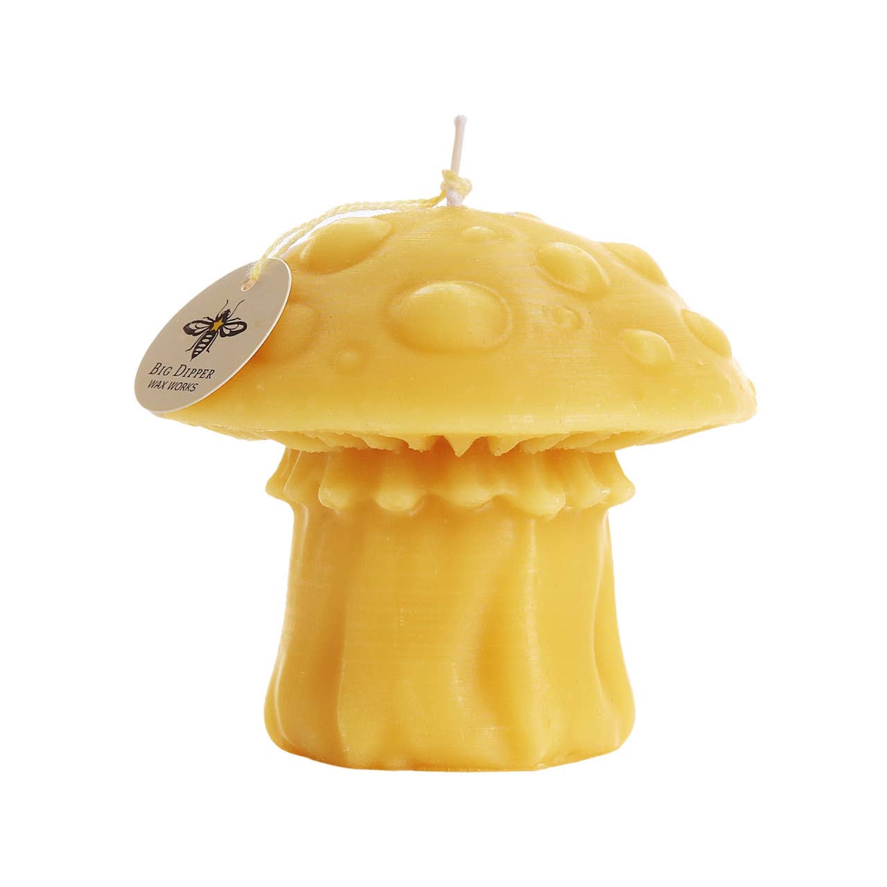 Oyster Mushroom Beeswax Candle
