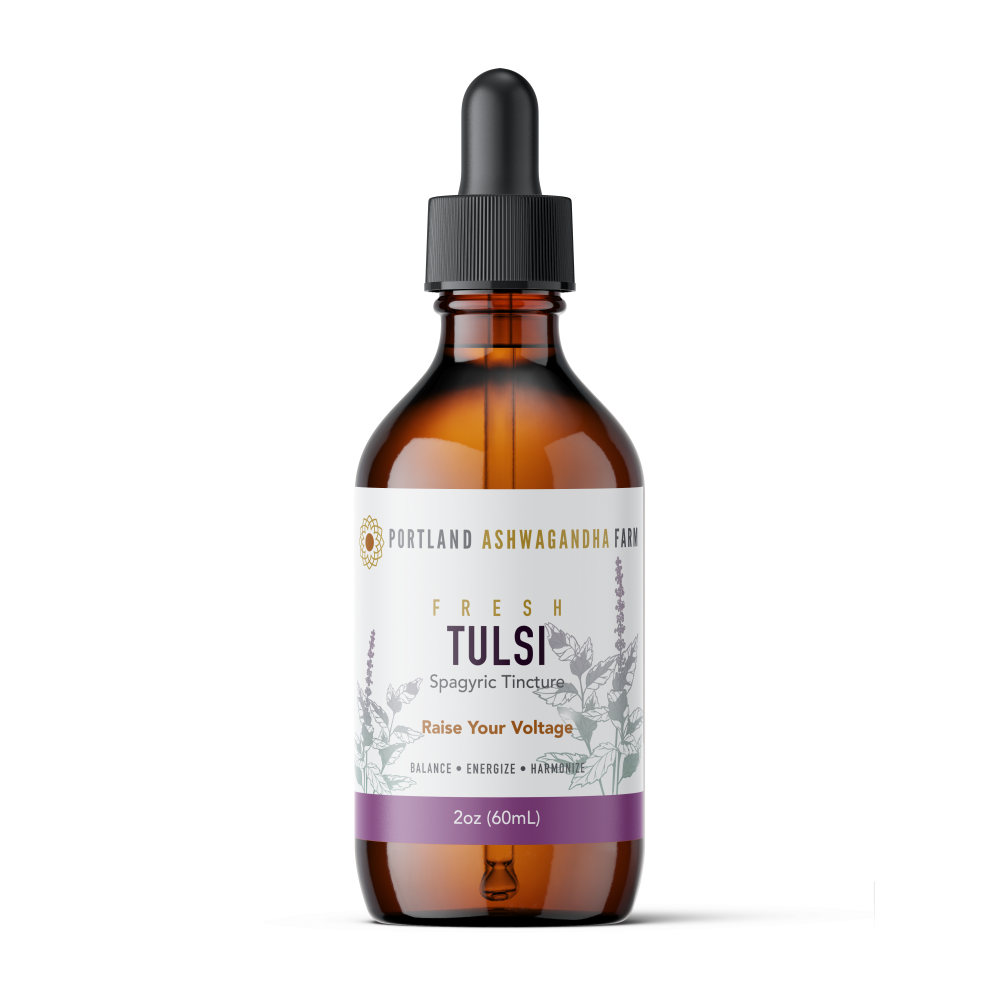 Tulsi - Fresh Spagyric Tincture: 2oz