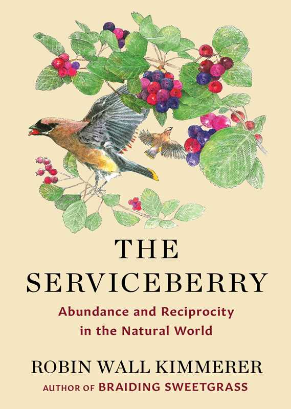 The Serviceberry; Abundance and Reciprocity in the Natural World by Robin Wall Kimmer