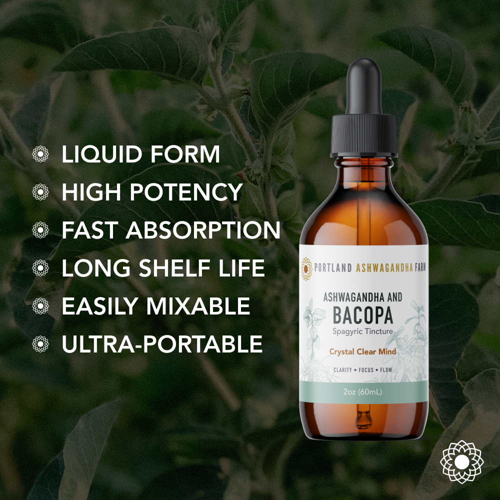 Ashwagandha Bacopa - Spagyric Tincture: 2oz