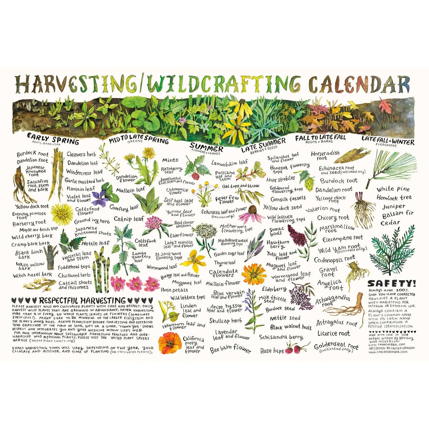 Herbal Posters