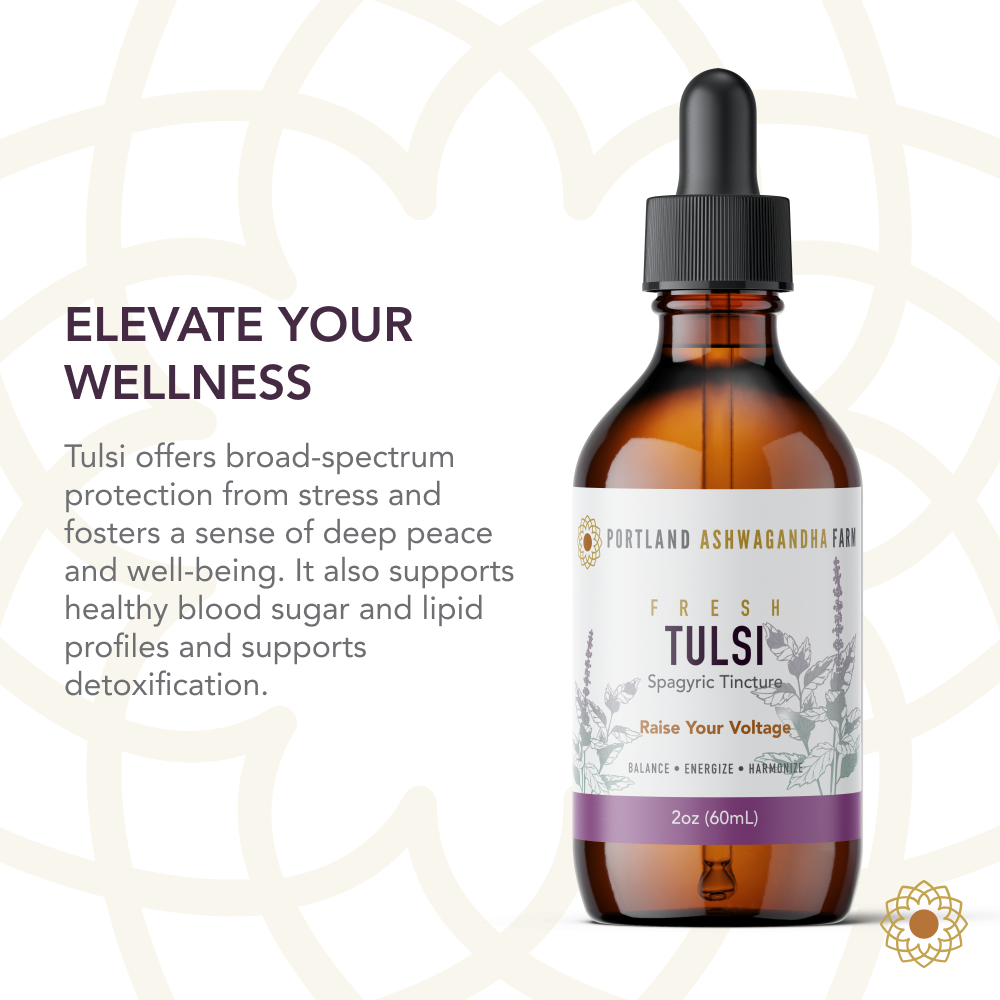 Tulsi - Fresh Spagyric Tincture: 2oz