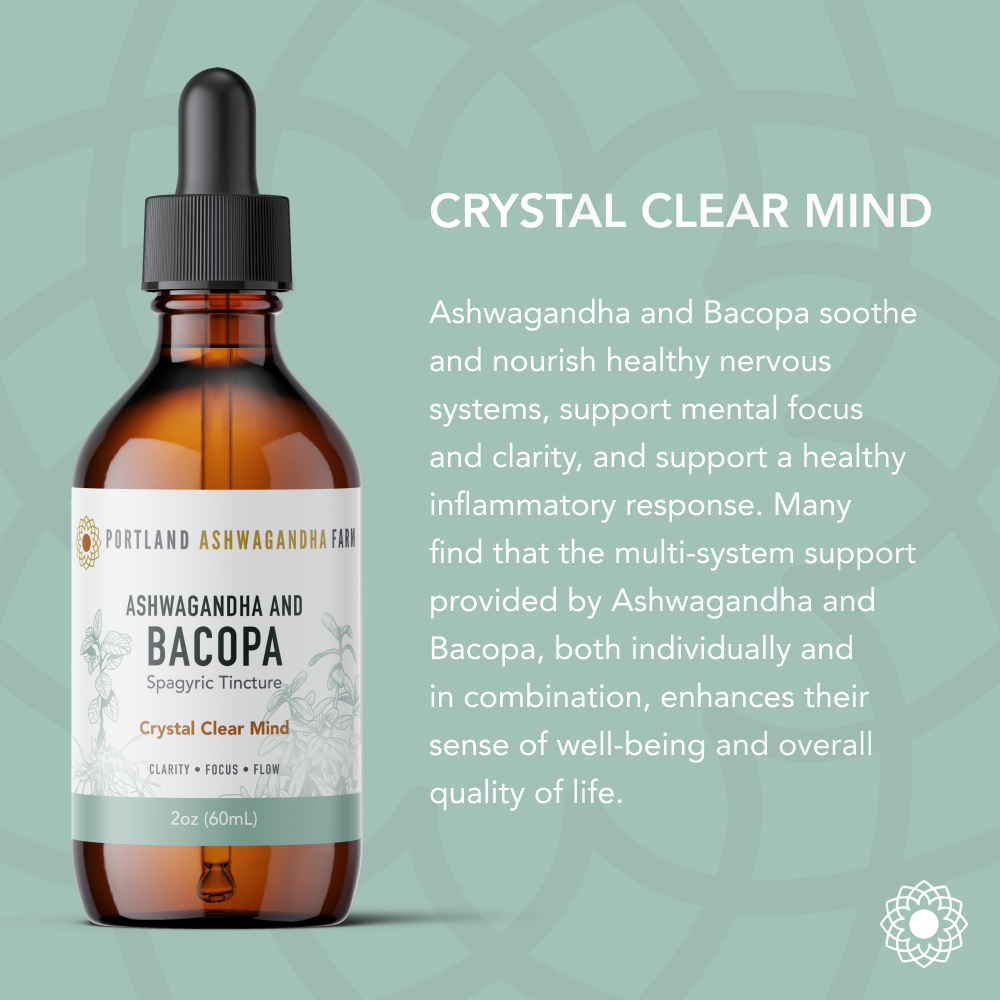 Ashwagandha Bacopa - Spagyric Tincture: 2oz