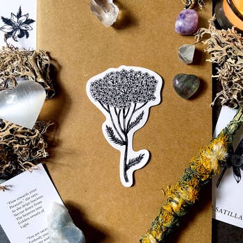 Yarrow Flower Vinyl Sticker