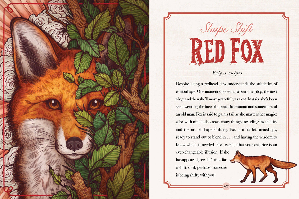 The Illustrated Bestiary: book and deck