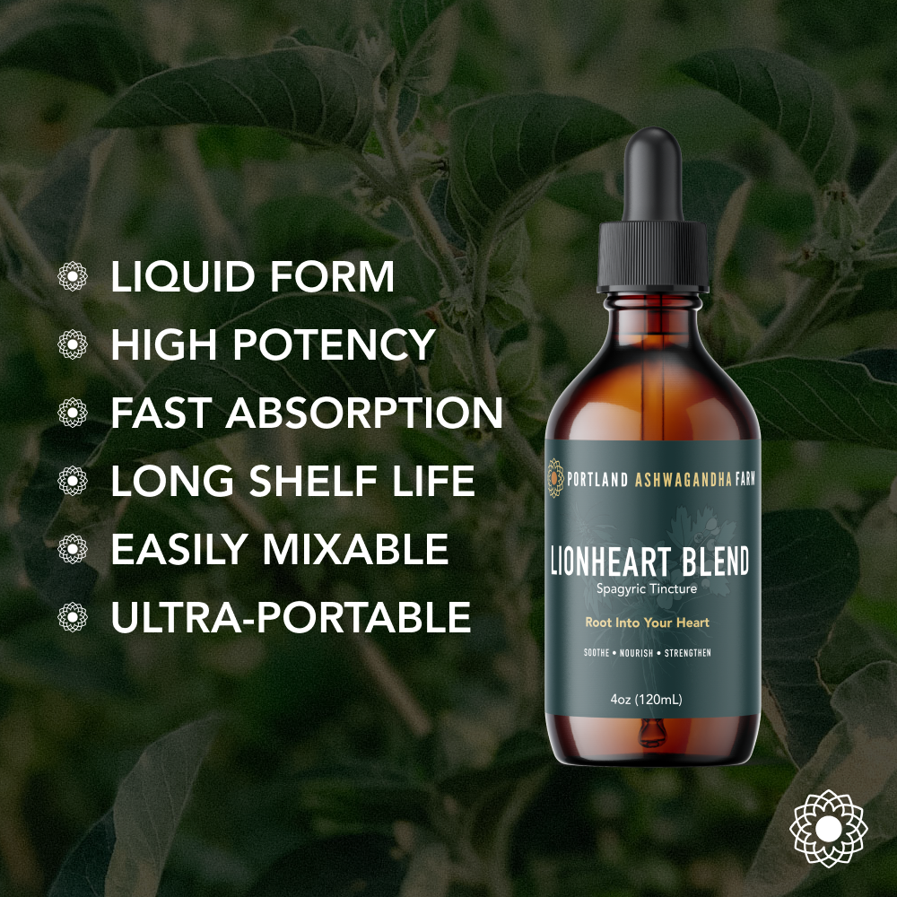 Lionheart Blend - Fresh Spagyric Tincture: 2oz