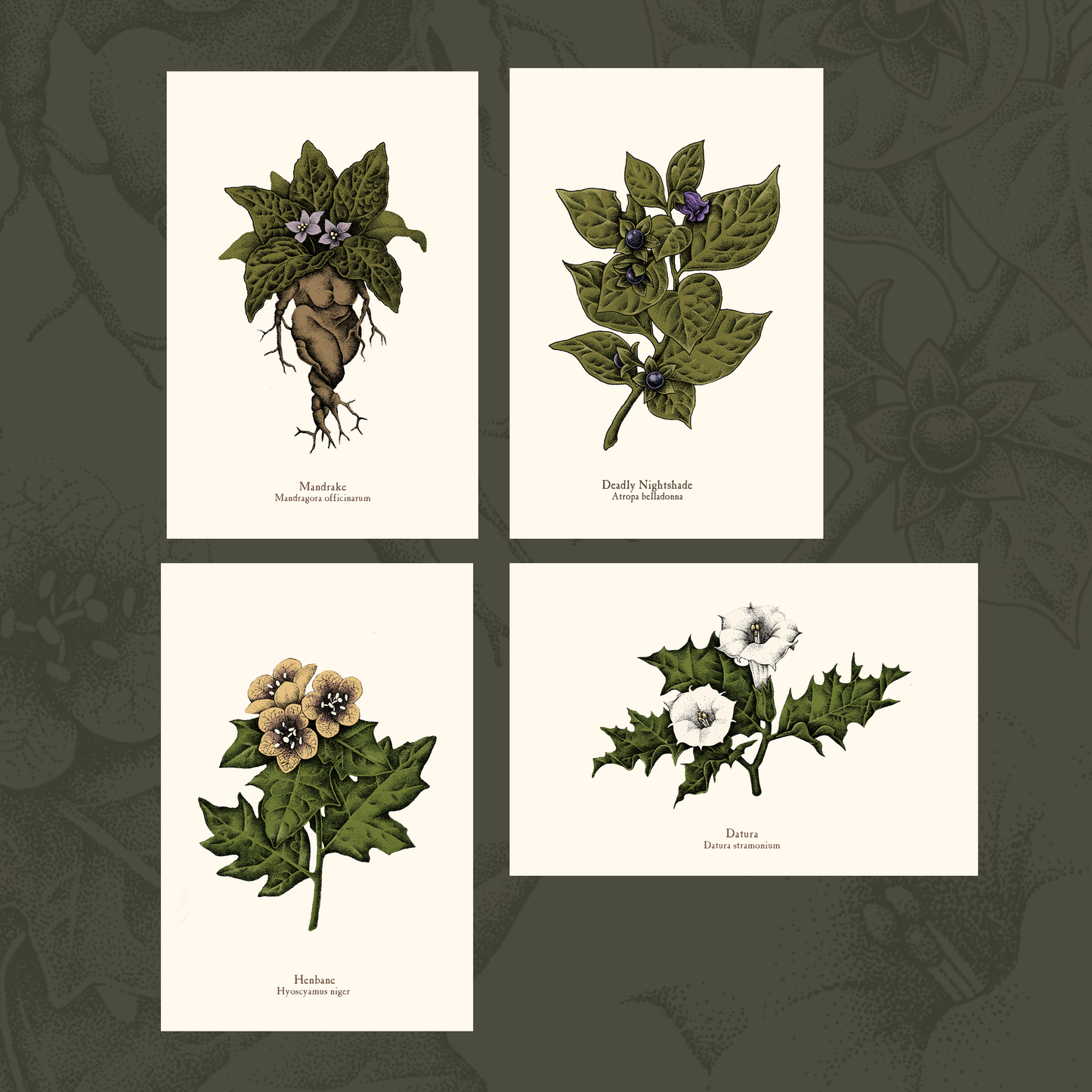 Witches Weeds Mini Print Pack