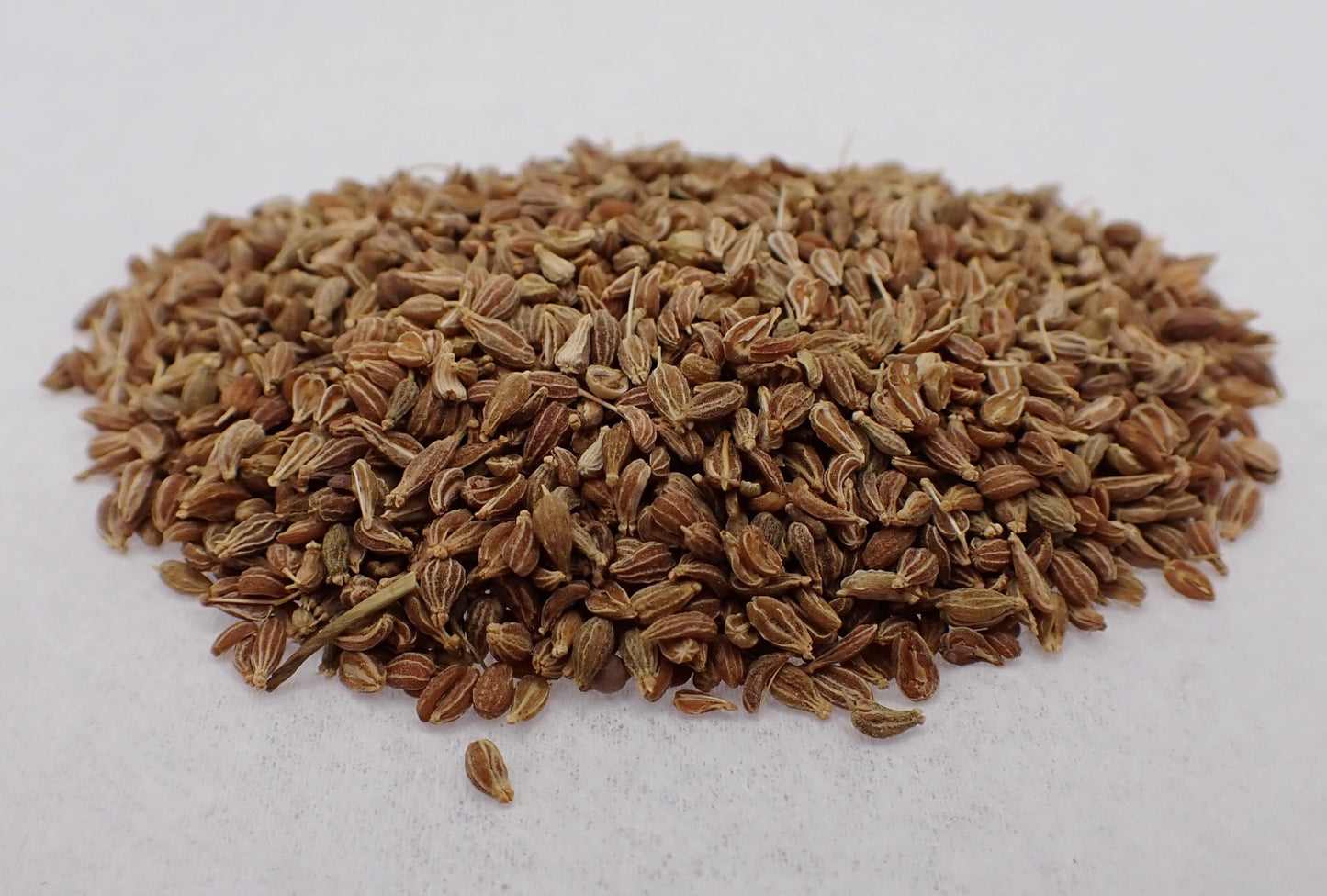 Anise seed