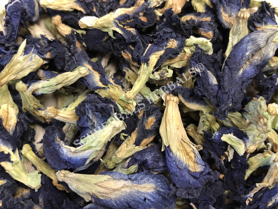 Butterfly Pea Flower