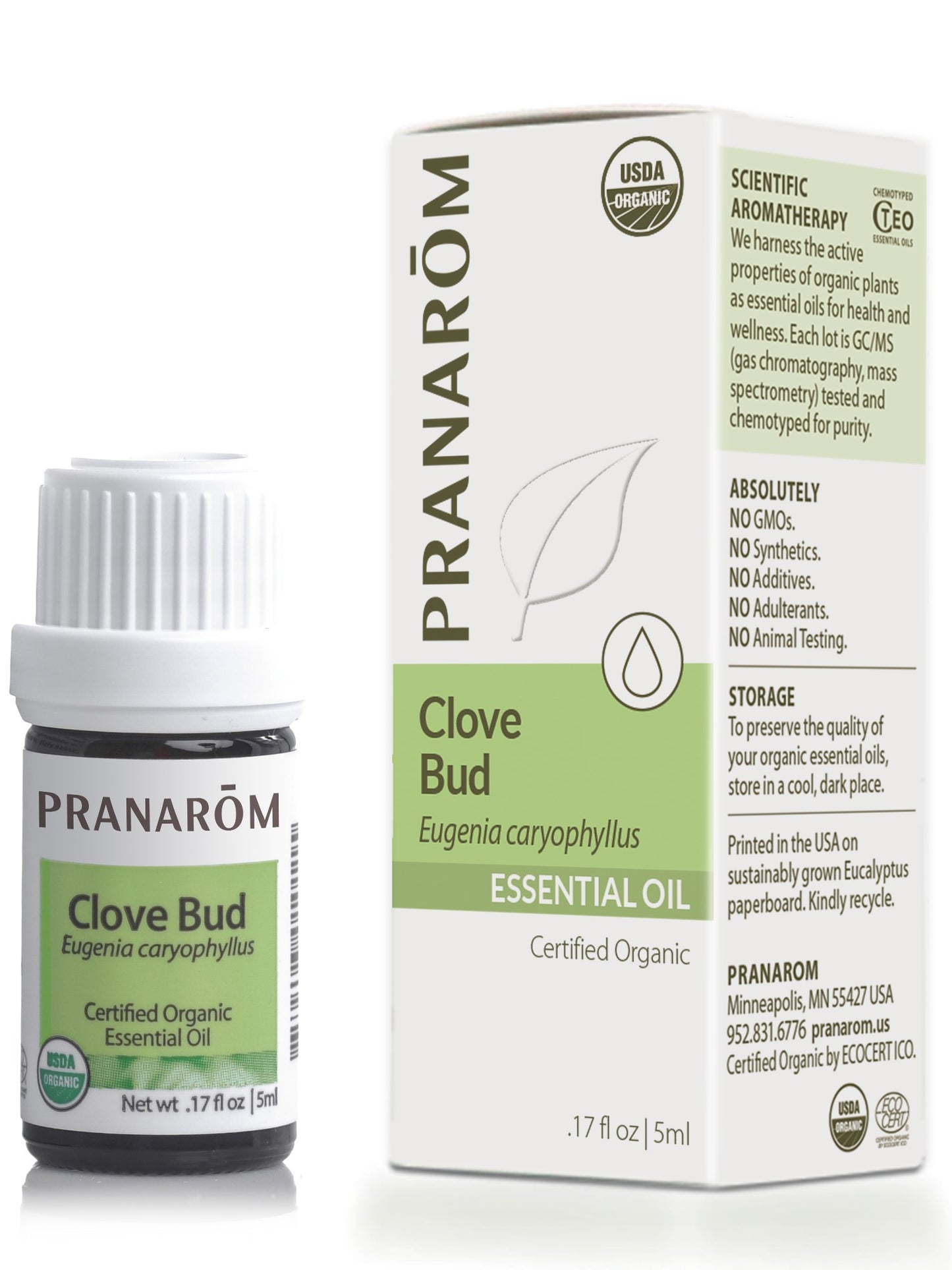 Clove Bud EO 5ml