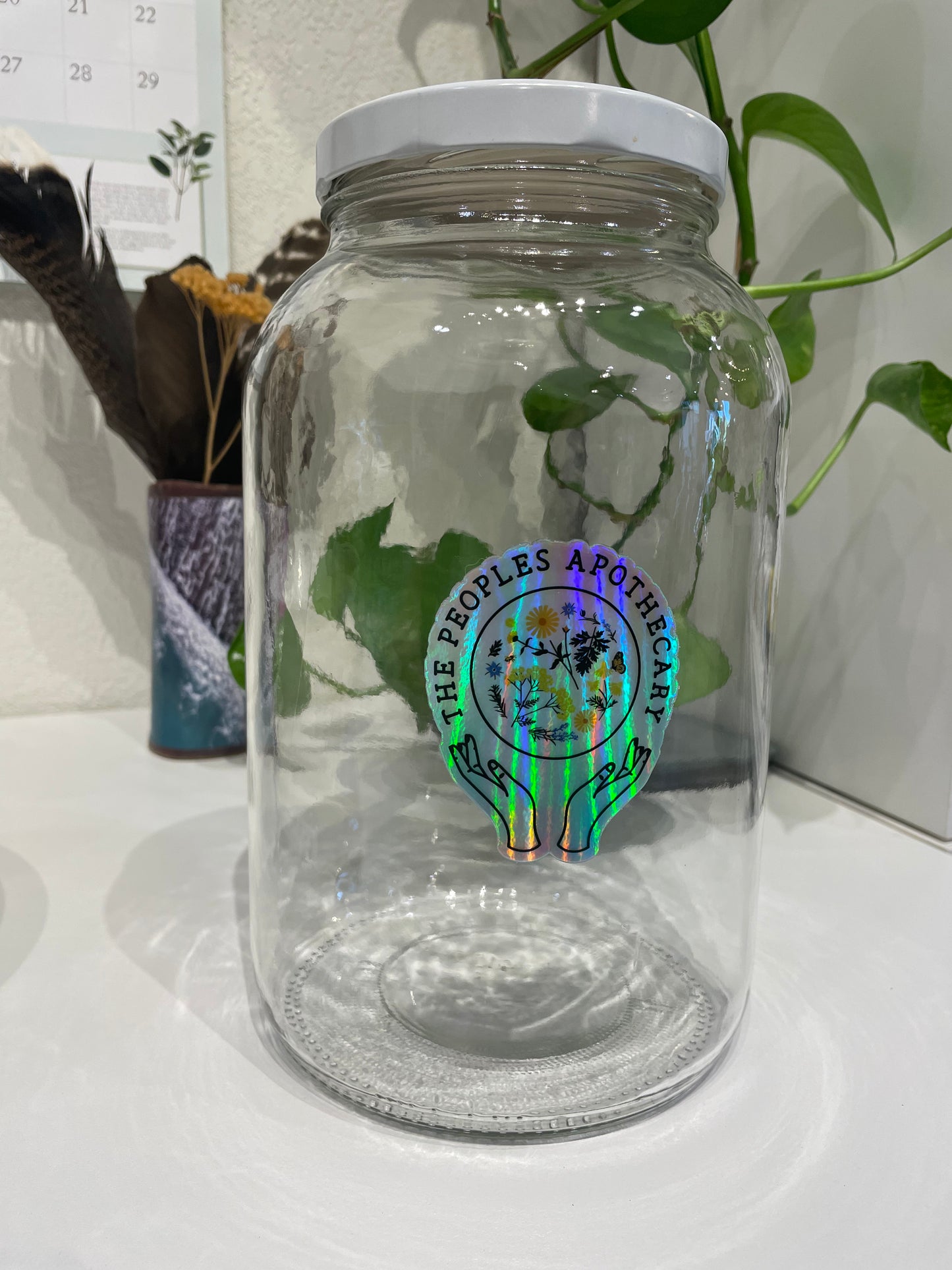 Gallon Jars