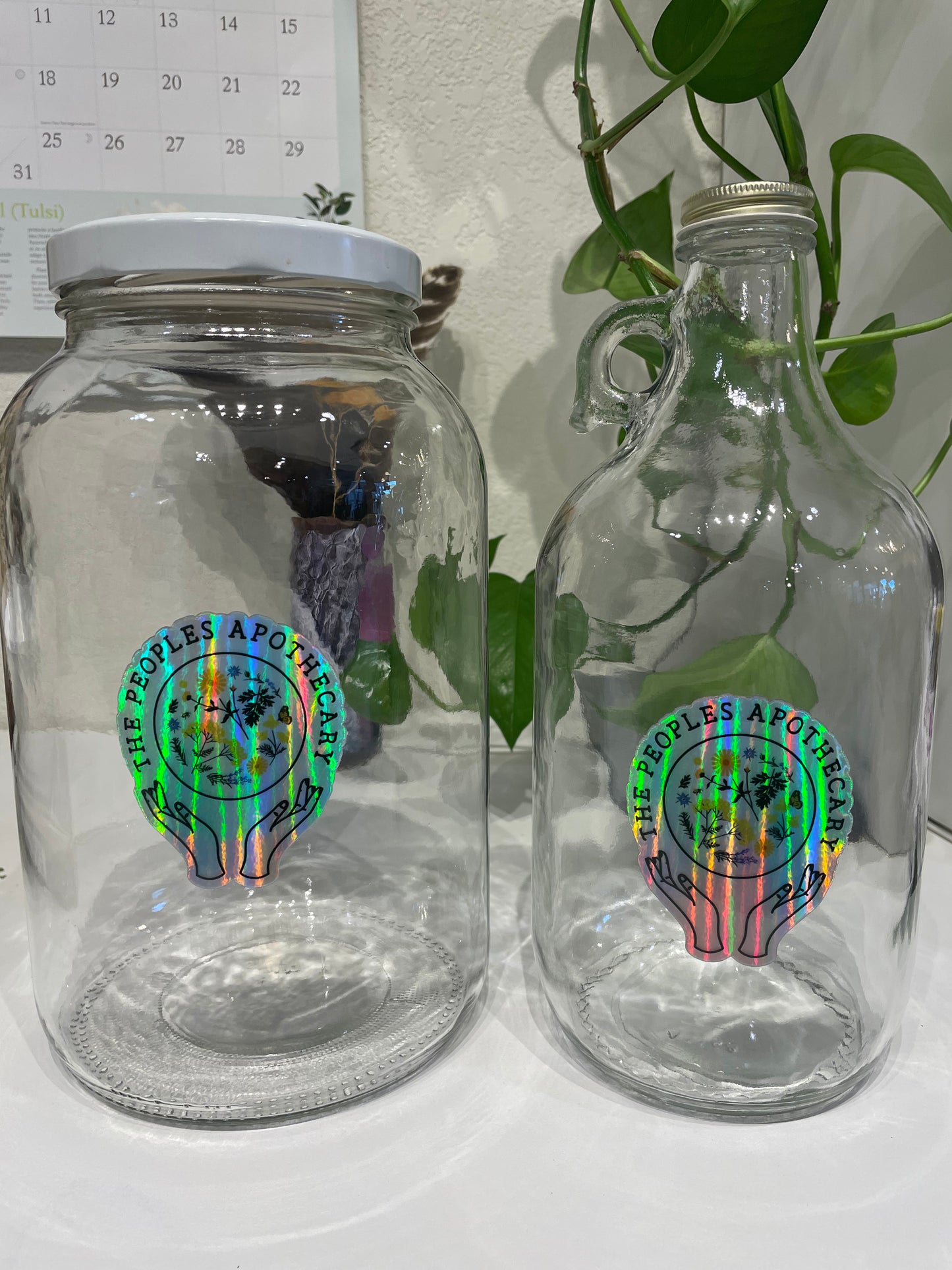 Gallon Jars