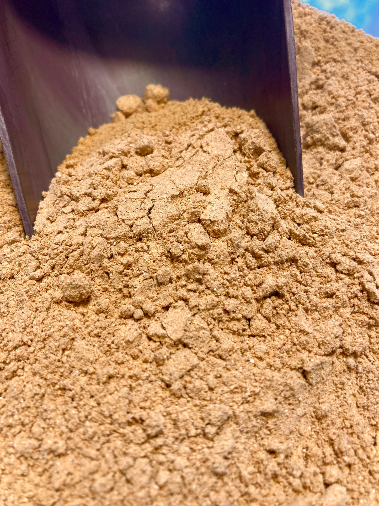 Sleepy Reishi Mushroom Drink Mix
