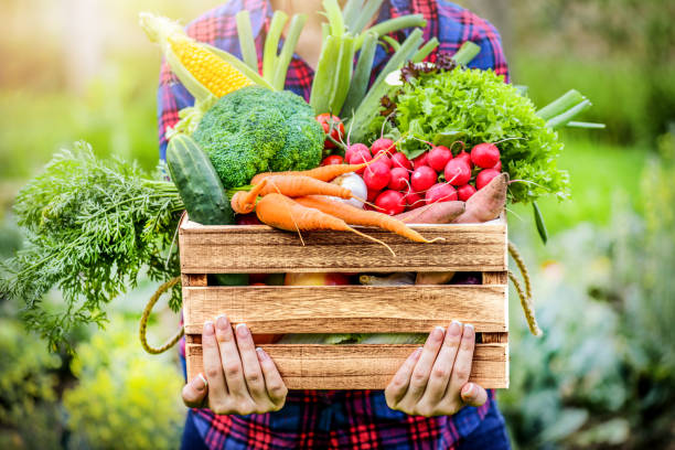 Fall Body Love Cleanse!