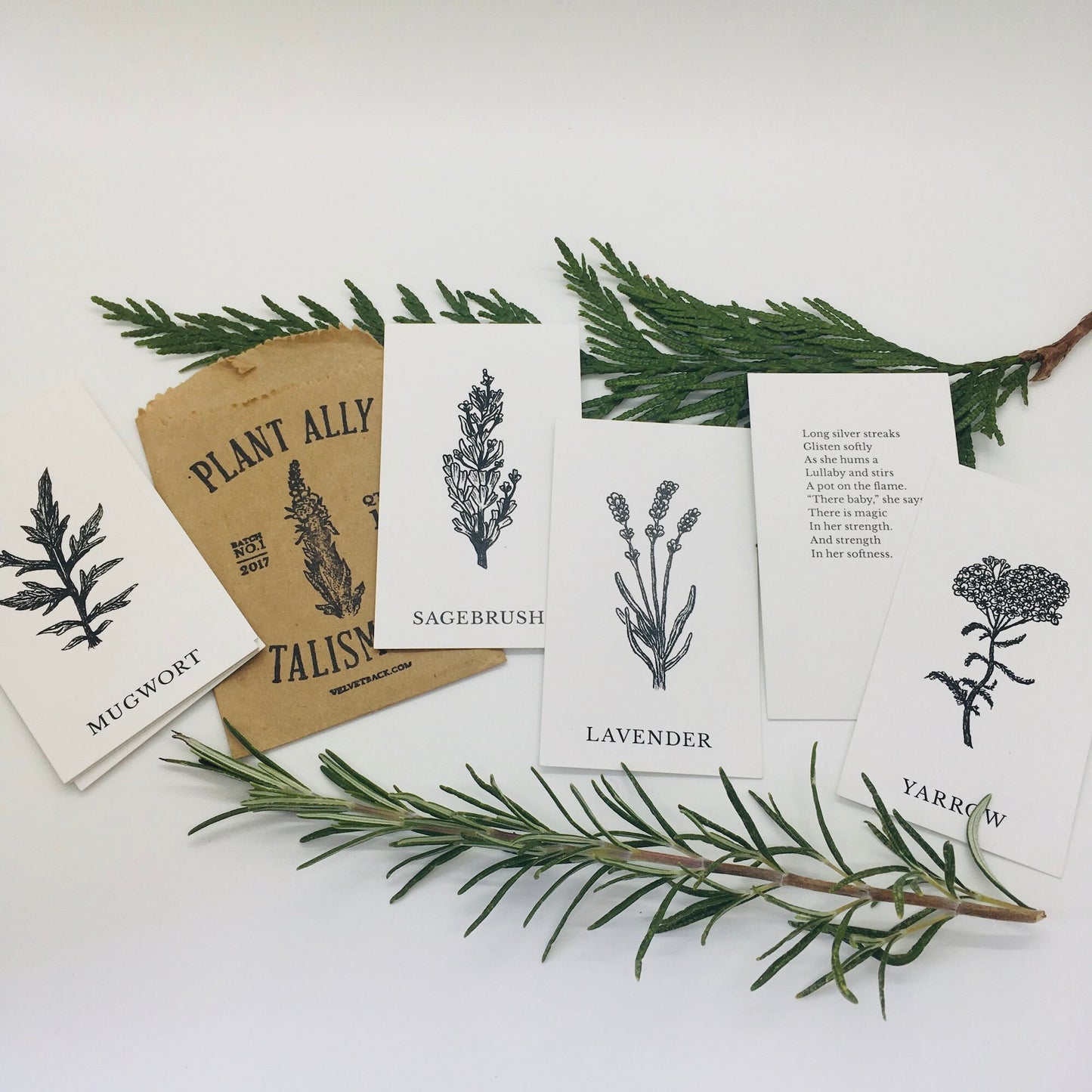 Plant Ally Talisman Cards Ostara