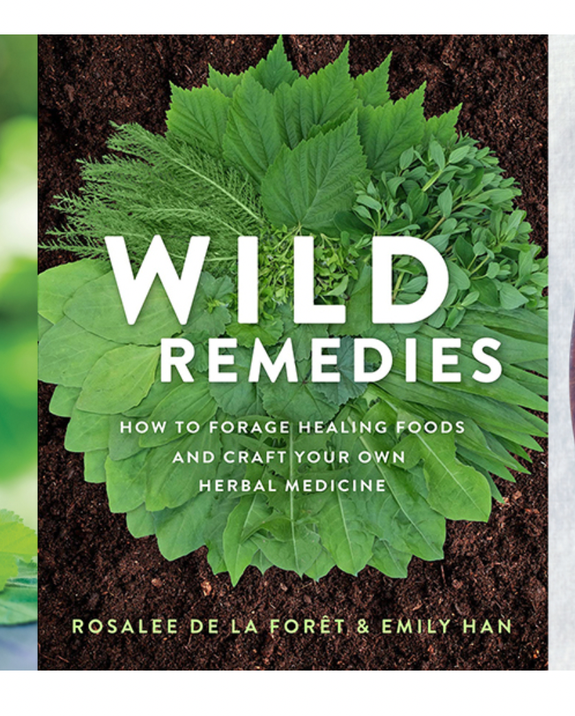 Wild Remedies by Rosalee de la Foret & Emily Han