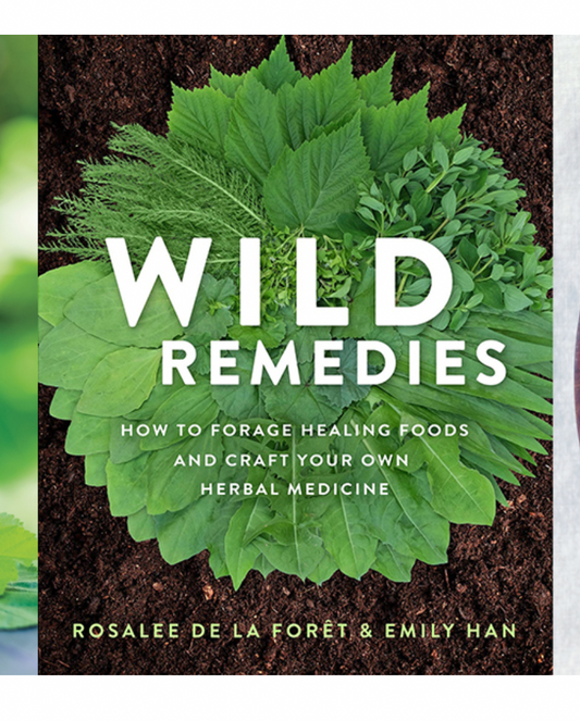 Wild Remedies by Rosalee de la Foret & Emily Han
