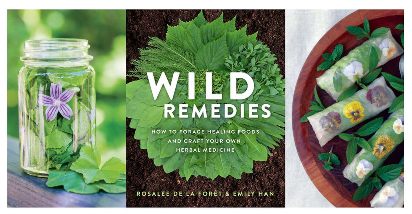 Wild Remedies by Rosalee de la Foret & Emily Han
