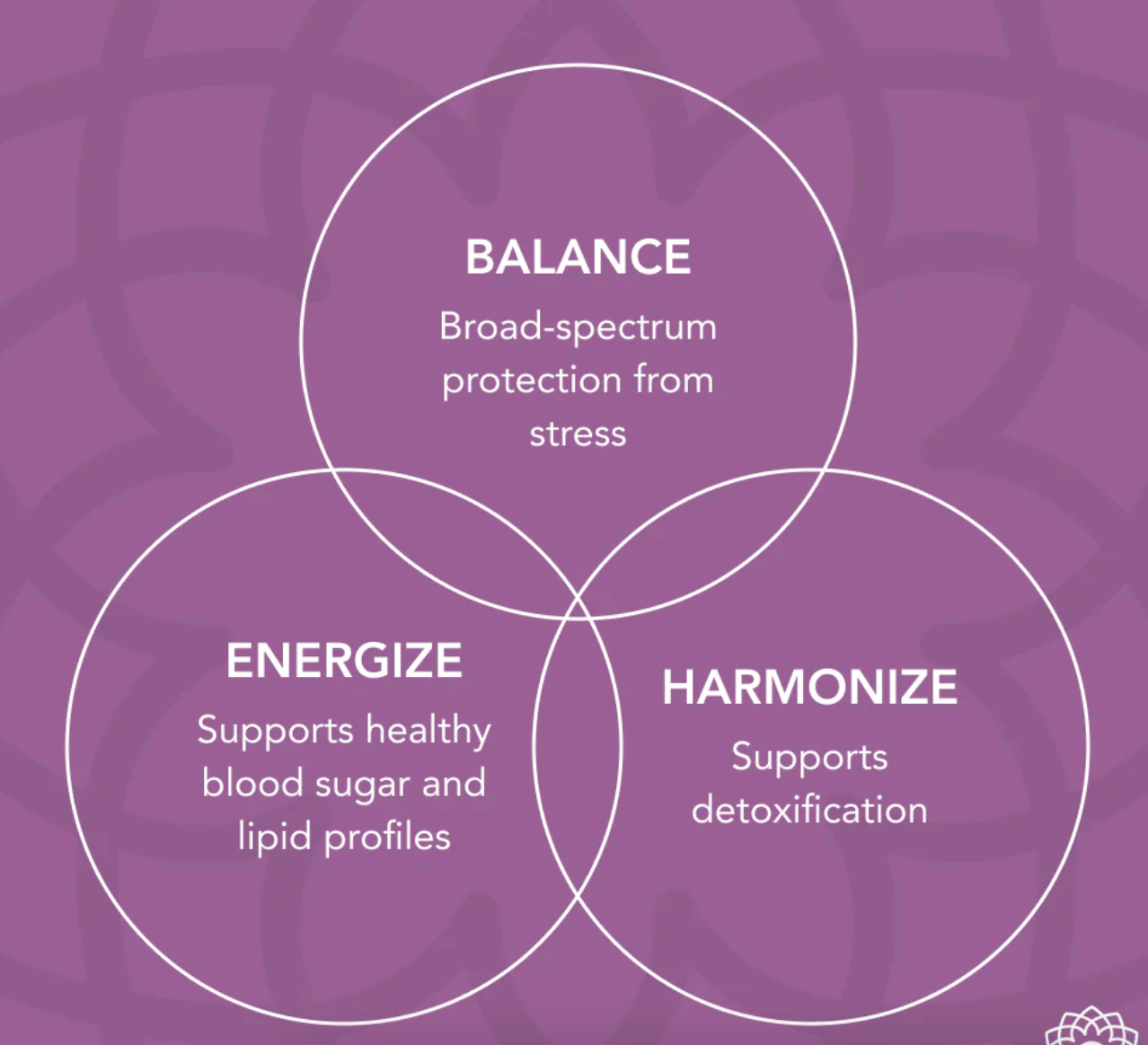 Tulsi Spagyric Tincture 2oz