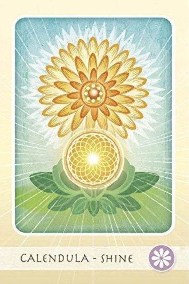 The Herbal Healing Deck