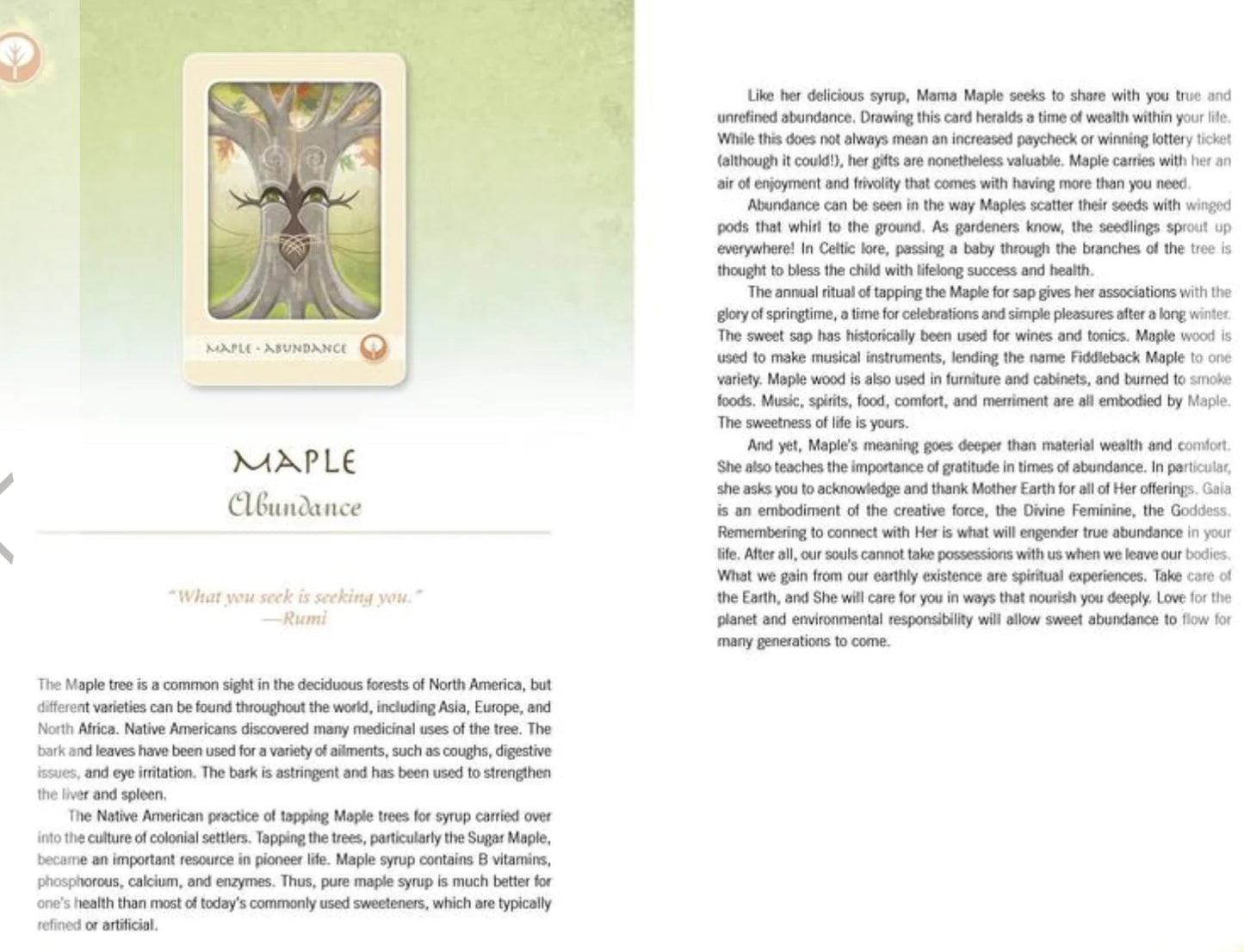 The Herbal Healing Deck