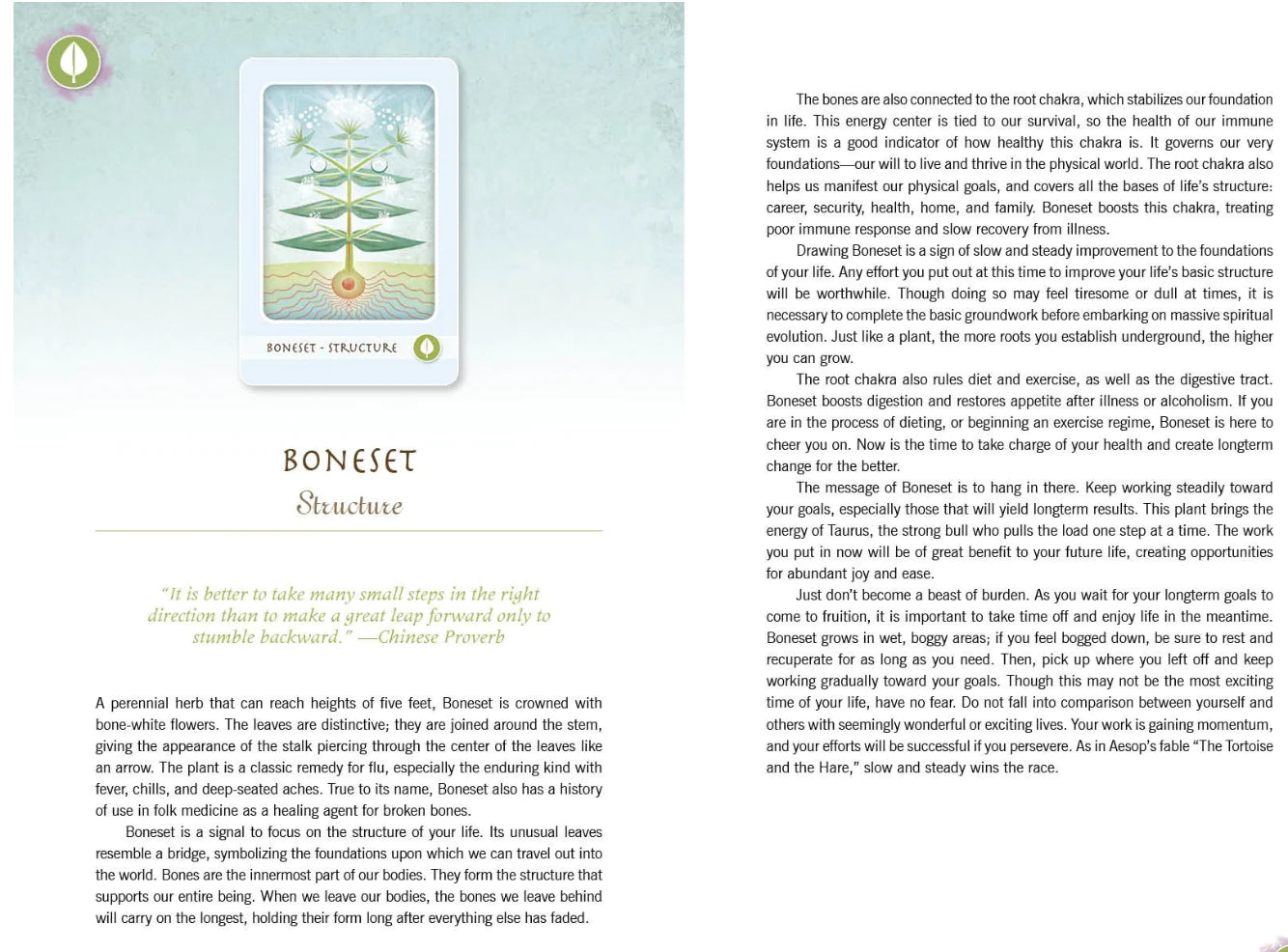 The Herbal Healing Deck