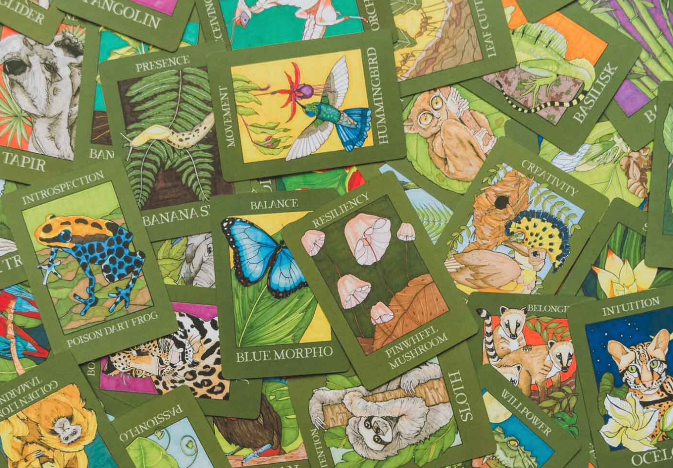 Rainforest Wisdom; Listen and Heal