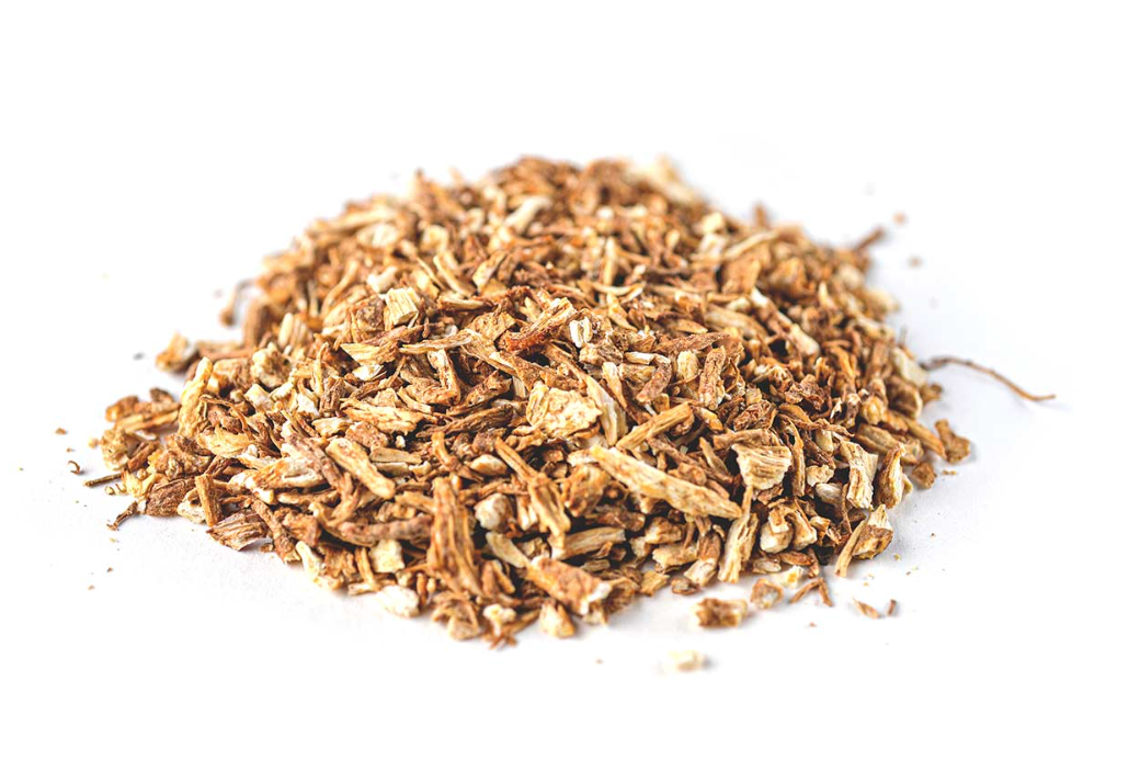 Angelica root