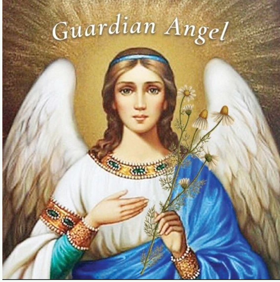 Guardian Angel