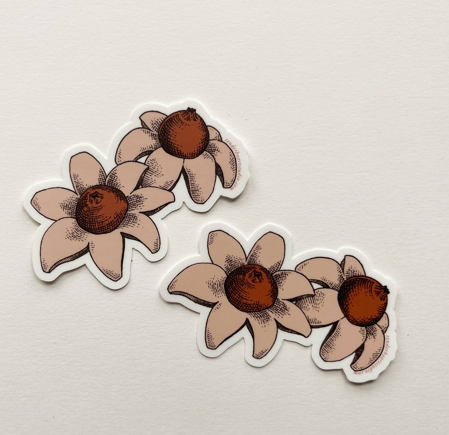 Earthstar Mushroom Vinyl Sticker