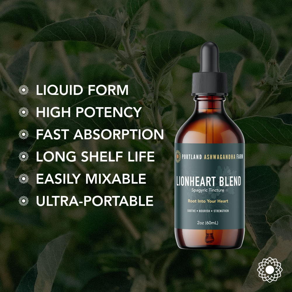 Lionheart Blend - Fresh Spagyric Tincture: 2oz