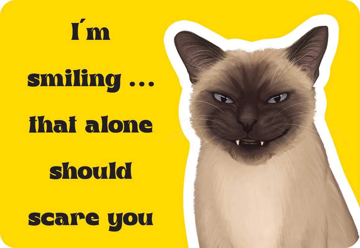 Cattitude