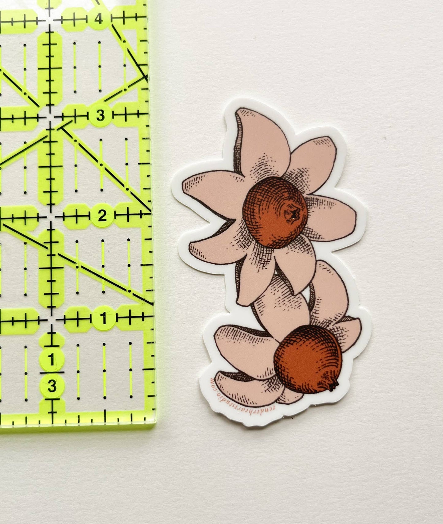 Earthstar Mushroom Vinyl Sticker