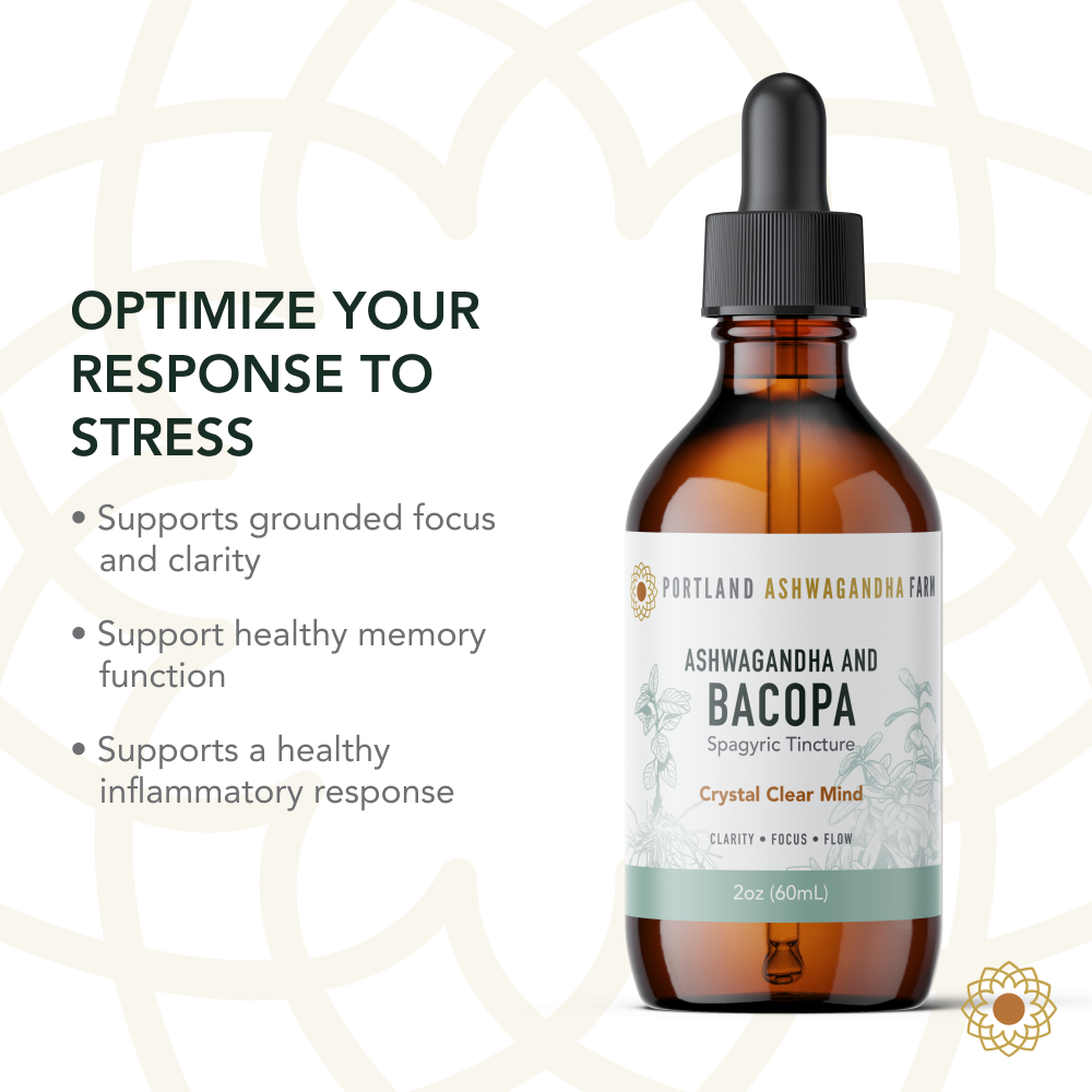 Ashwagandha Bacopa - Spagyric Tincture: 2oz