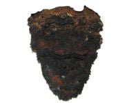 Chaga Mushroom Powder