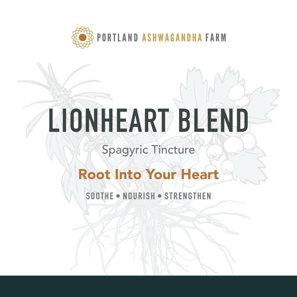 Lionheart Blend - Fresh Spagyric Tincture: 4oz