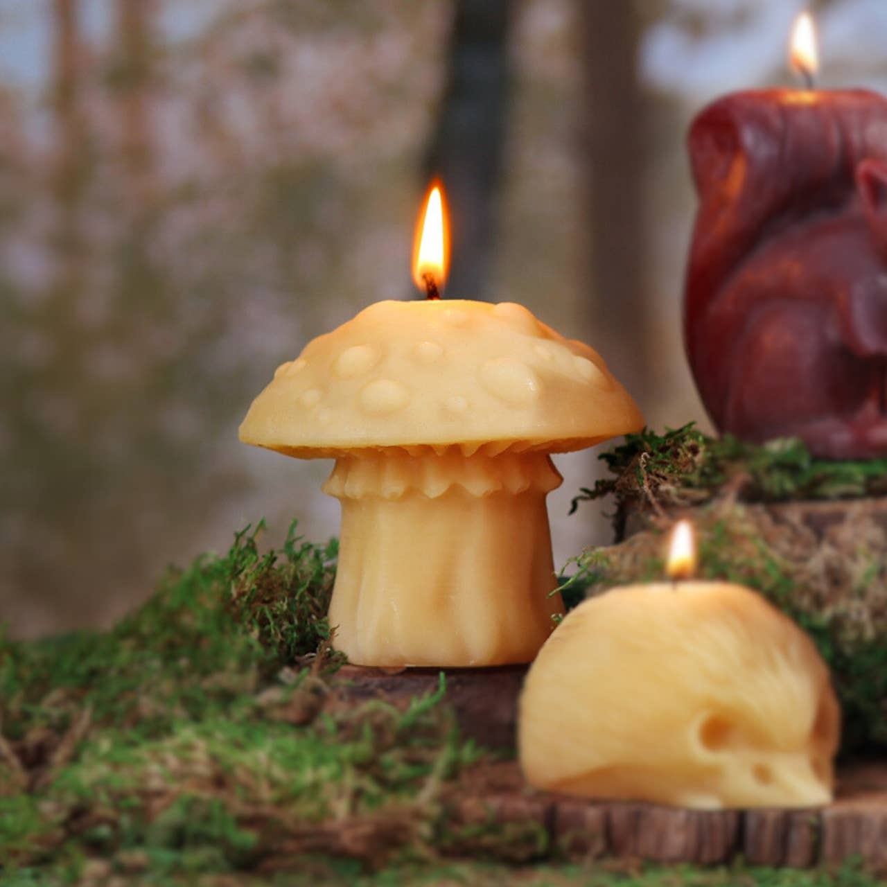 Oyster Mushroom Beeswax Candle