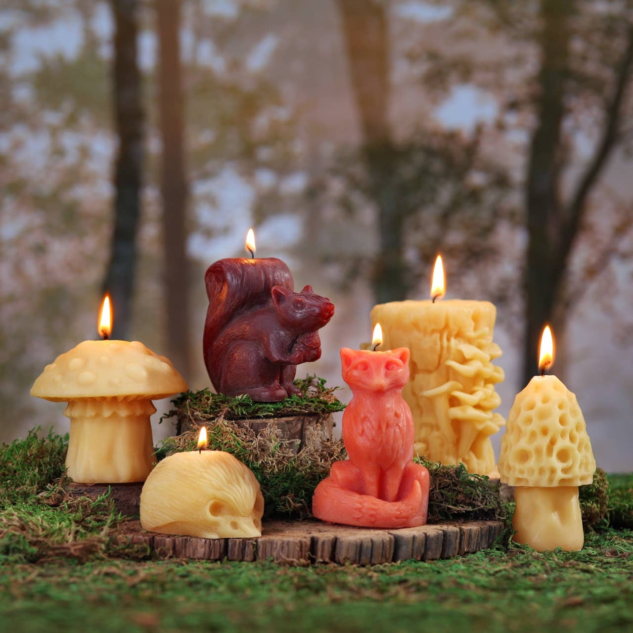 Oyster Mushroom Beeswax Candle