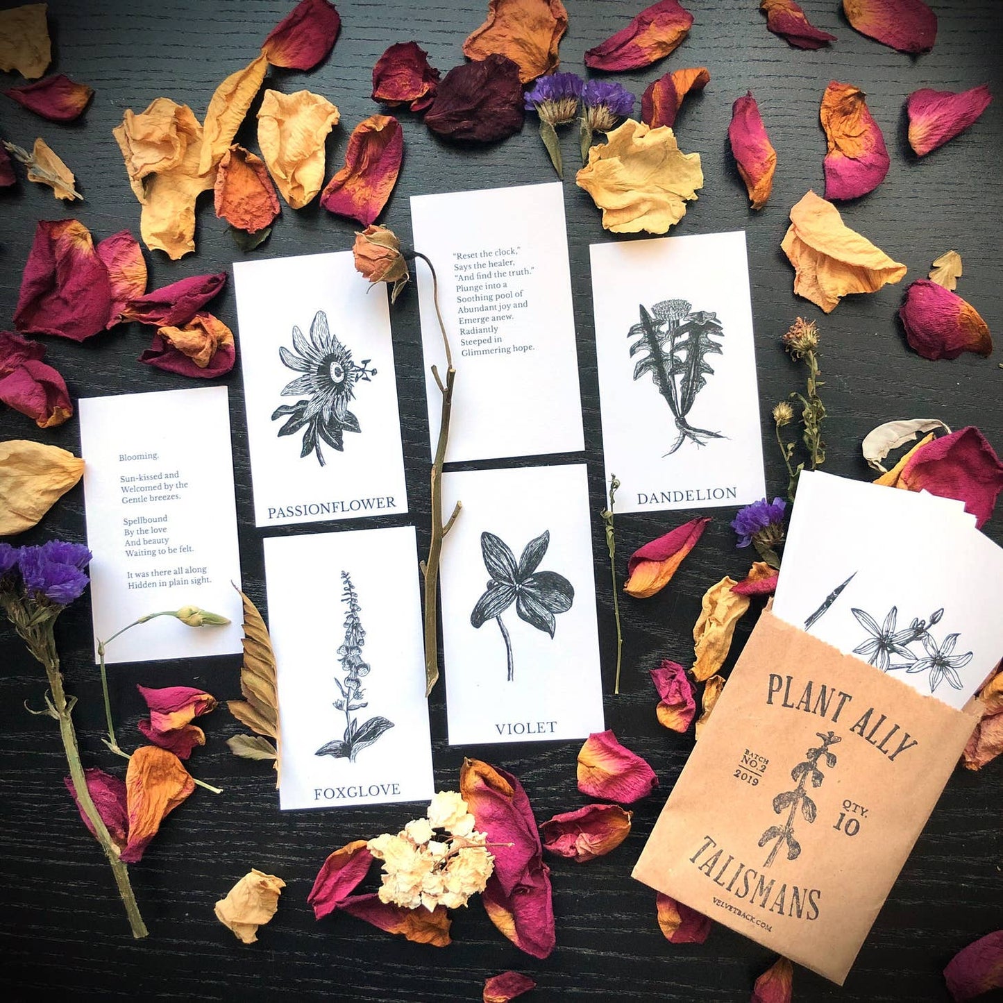 Plant Ally Talisman Cards Vol 2