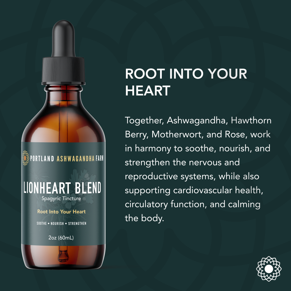 Lionheart Blend - Fresh Spagyric Tincture: 2oz
