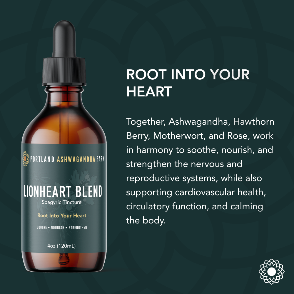 Lionheart Blend - Fresh Spagyric Tincture: 4oz
