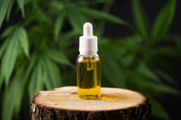 Nourish Your Roots: A Herbal Hair & Scalp Care Workshop