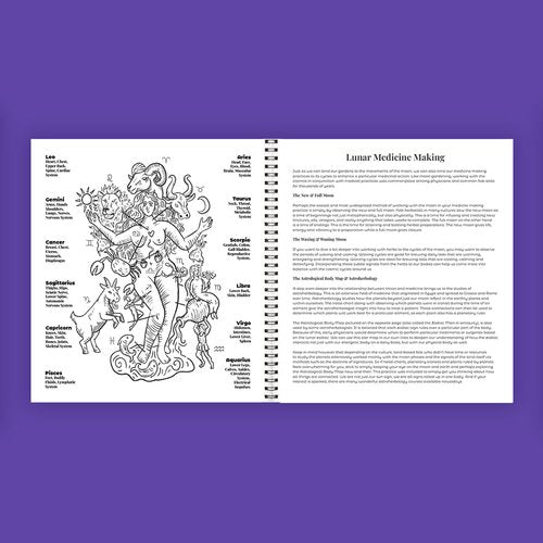 Lunica Planner