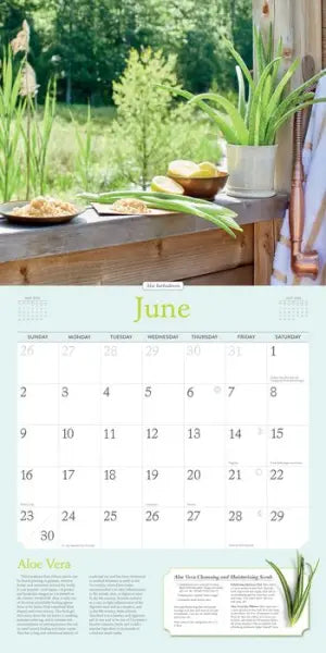 Rosemary Gladstar's Herbs Wall Calendar 2024: Recipes and Remedies for Health and Home