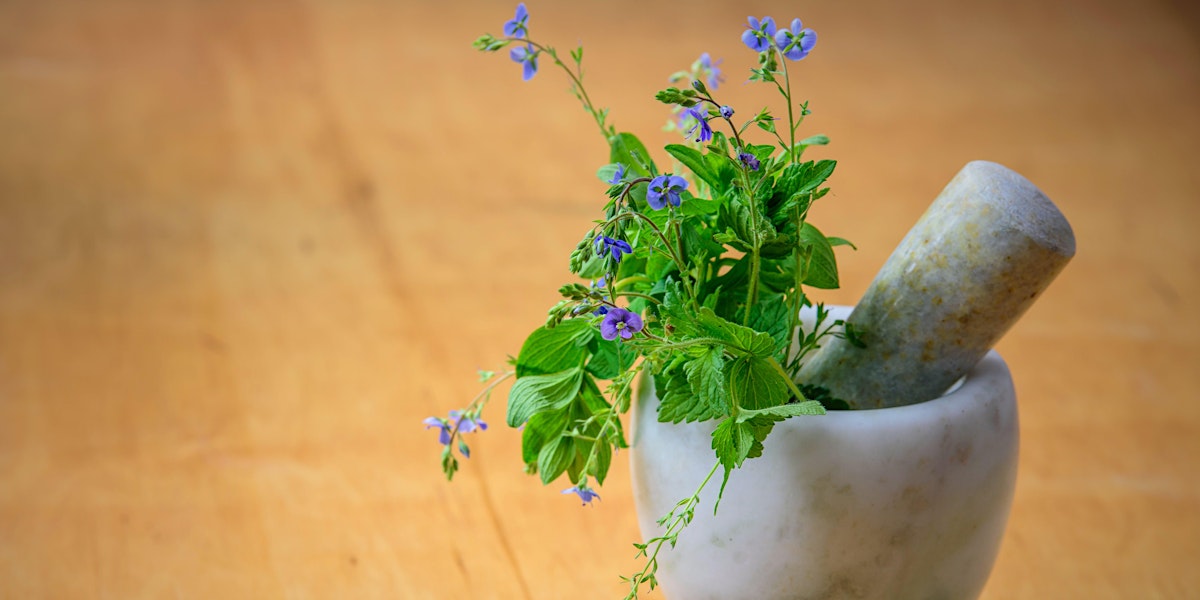 Herbal Medicine Making Fall Series: Herbal Tinctures w/Dr. Ashley