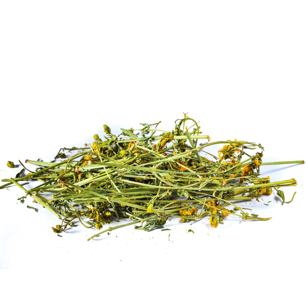 St Johns Wort Flower and Leaf