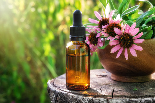 Herbal Medicine Making Fall Series: Herbal Tinctures w/Dr. Ashley
