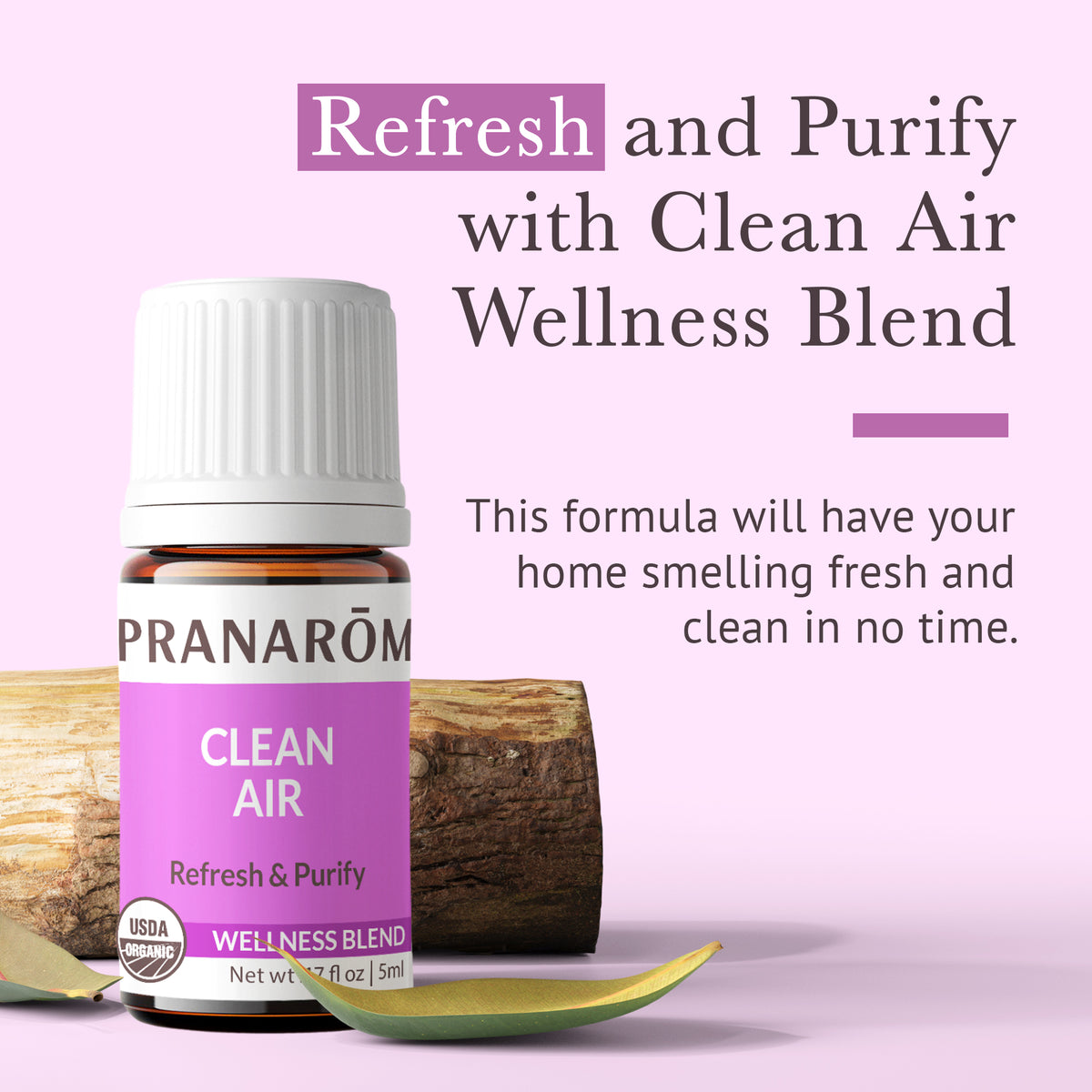 Clean Air 5ml EO